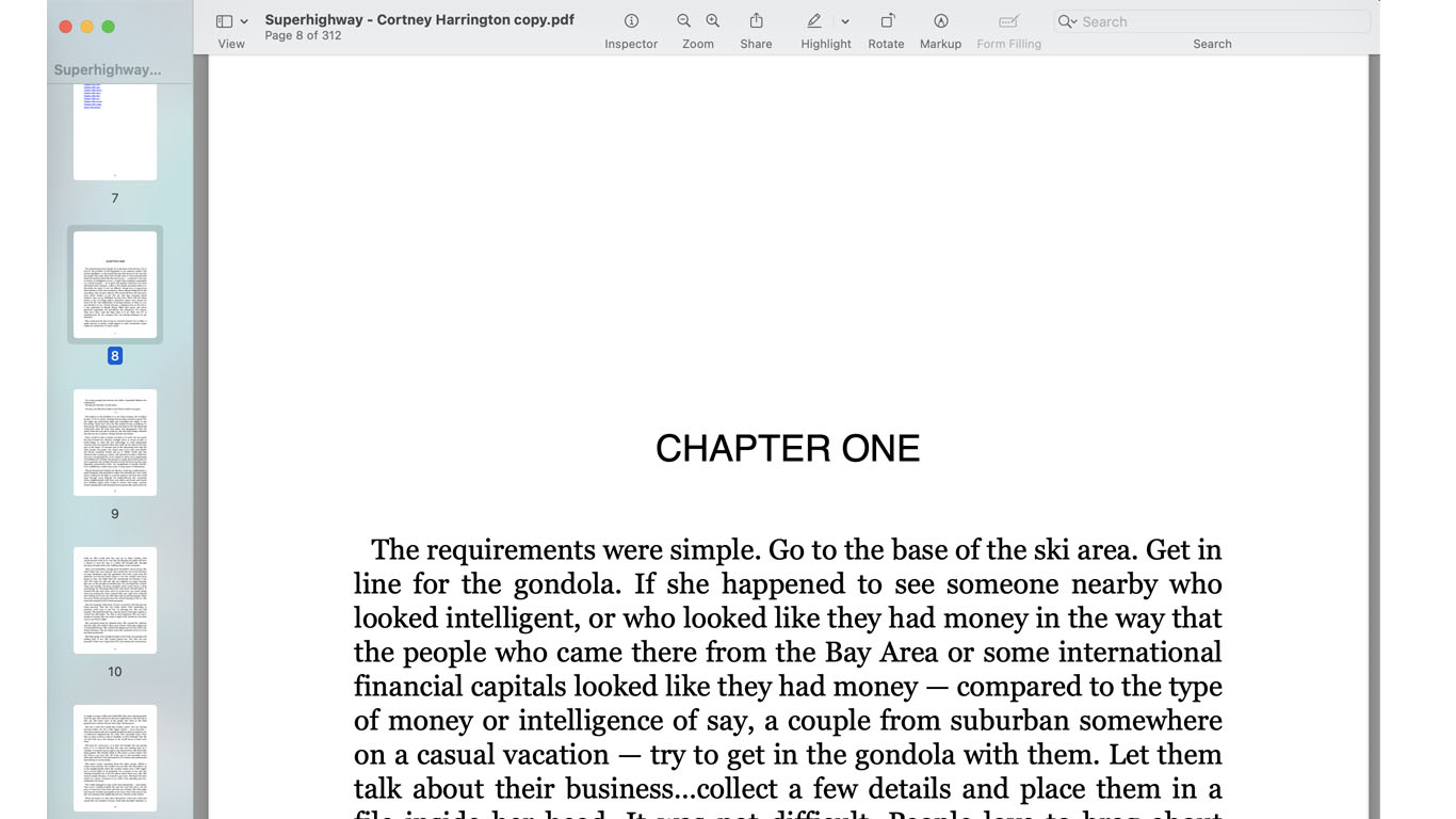 Superhighway (My First Novel) screenshot 2